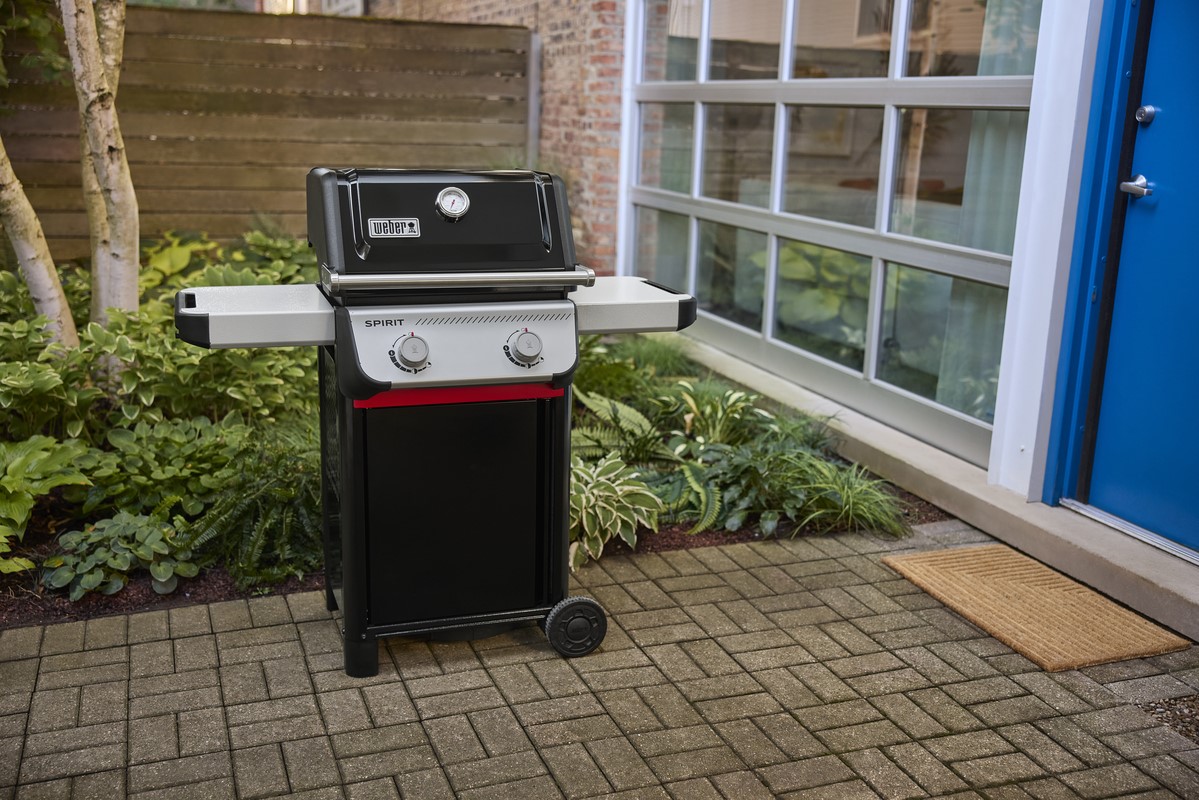 Weber Spirit E-210 (2025) Schweiz