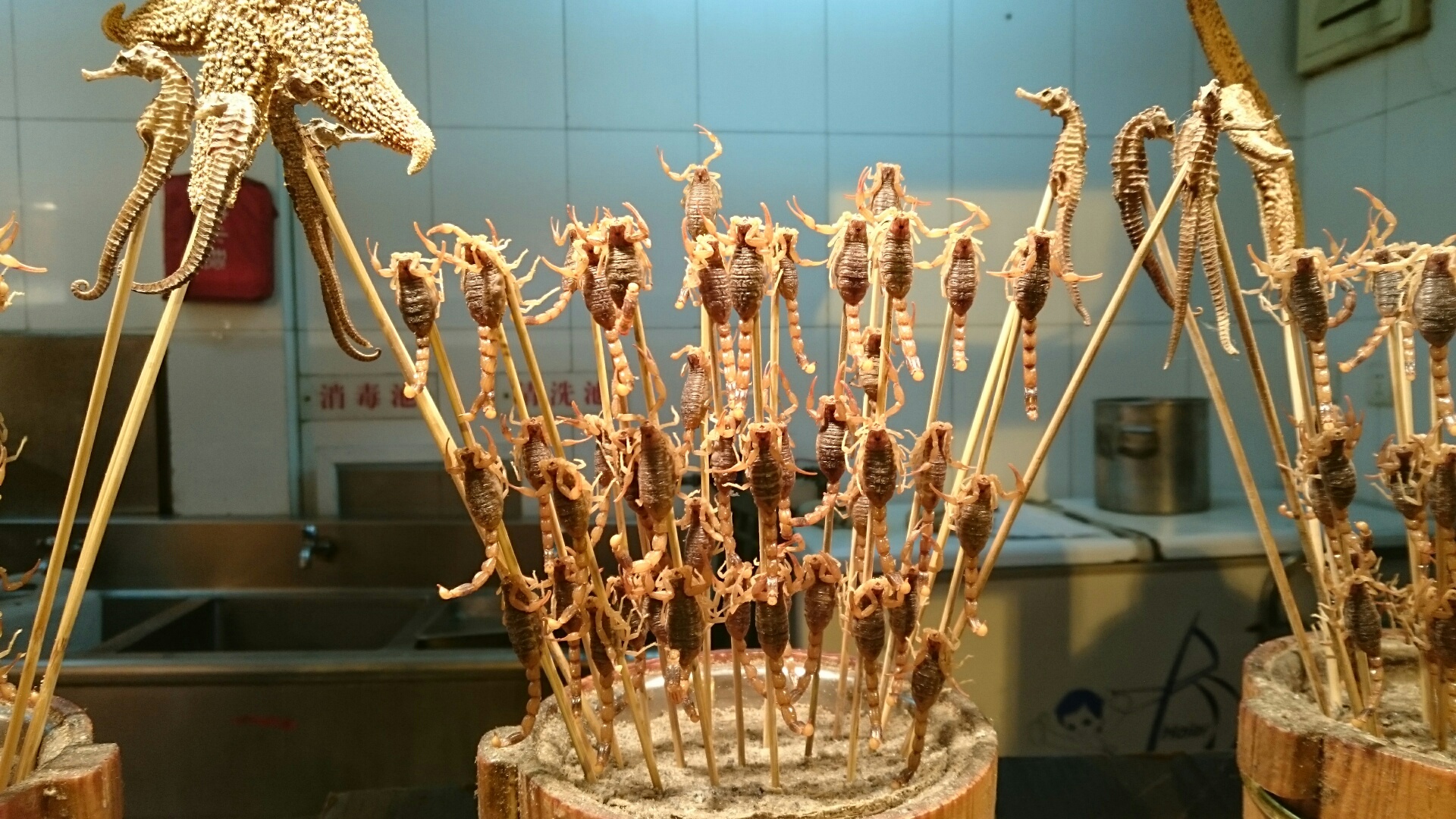 weber grill,weber grill schweiz,weber grill ersatzteile,looftlighter akku,weber grill ersatzteile schweiz,weber grill aktion,weber ersatzteile,weber pulse grill,weber grill ersatzteile,grill shop,grill online,grill kaufen,weber grill reparatur,weber grill zubehör schweiz,weber grill online shop,amerikanischer grill kaufen,
weber gasgrill aktion,weber ersatzteile online bestellen,gasgrill outlet,weber aktion,gas grill online,grillvideos,weber grill kurs,looftlighter schweiz,amerikanischer grill kaufen